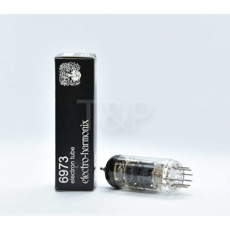 6973 Electro-Harmonix