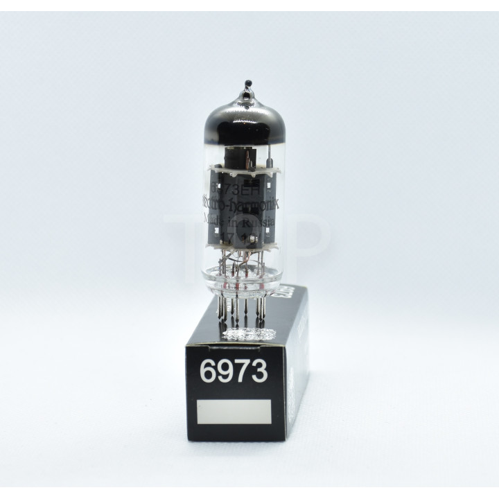6973 Electro-Harmonix